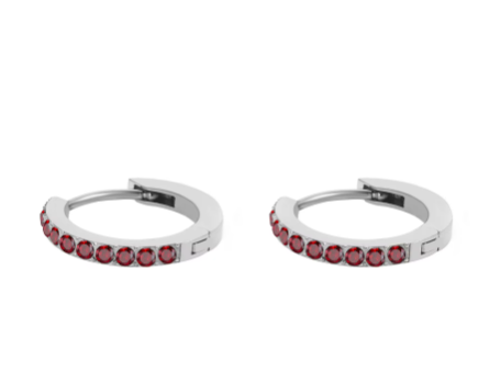 Silver Stainless Steel CZ 12 Birthstone Circle Hoop Earrings