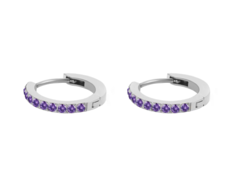 Silver Stainless Steel CZ 12 Birthstone Circle Hoop Earrings