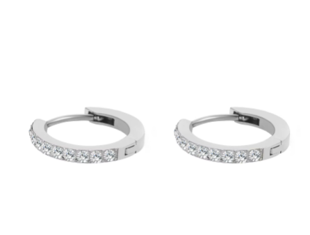 Silver Stainless Steel CZ 12 Birthstone Circle Hoop Earrings