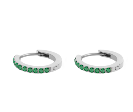 Silver Stainless Steel CZ 12 Birthstone Circle Hoop Earrings