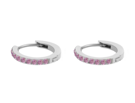 Silver Stainless Steel CZ 12 Birthstone Circle Hoop Earrings