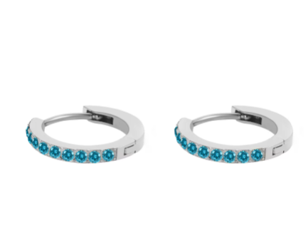 Silver Stainless Steel CZ 12 Birthstone Circle Hoop Earrings