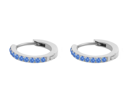 Silver Stainless Steel CZ 12 Birthstone Circle Hoop Earrings