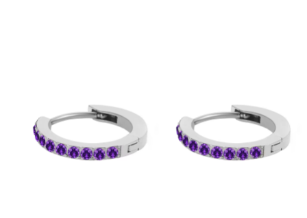 Silver Stainless Steel CZ 12 Birthstone Circle Hoop Earrings