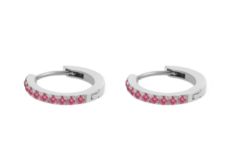 Silver Stainless Steel CZ 12 Birthstone Circle Hoop Earrings