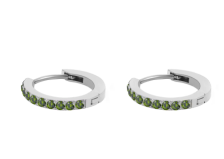 Silver Stainless Steel CZ 12 Birthstone Circle Hoop Earrings