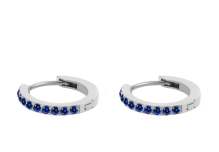 Silver Stainless Steel CZ 12 Birthstone Circle Hoop Earrings