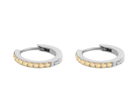 Silver Stainless Steel CZ 12 Birthstone Circle Hoop Earrings